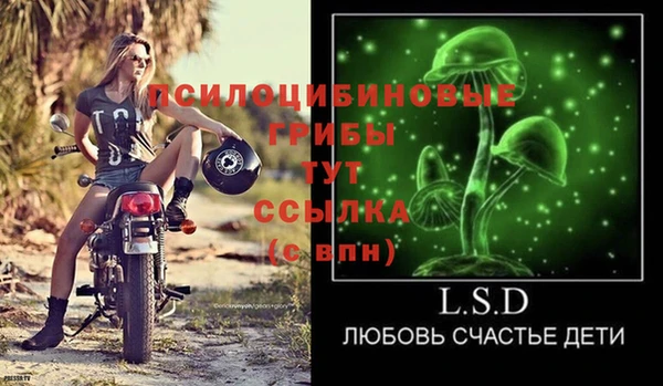 молекула духа Володарск