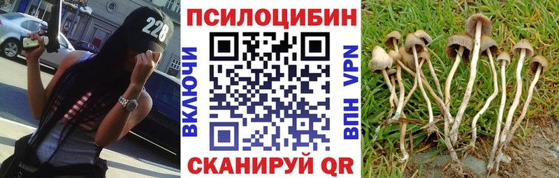 ОМГ ОМГ ONION  Псков  Псилоцибиновые грибы Magic Shrooms 